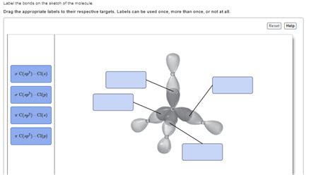 Label the bonds on the sketch of the molecule.. Things To Know About Label the bonds on the sketch of the molecule.. 